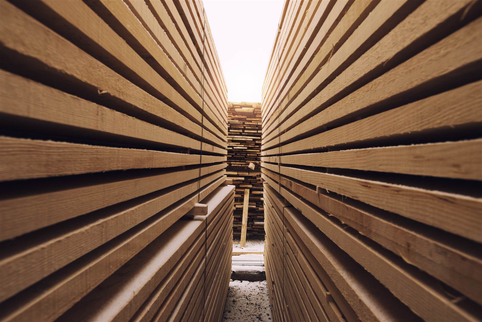 Planta de fabricación de tarimas de madera Regio Tarimas en Monterrey