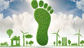 We reduce our carbon footprint